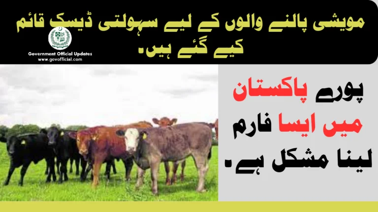 Cattle Farmers