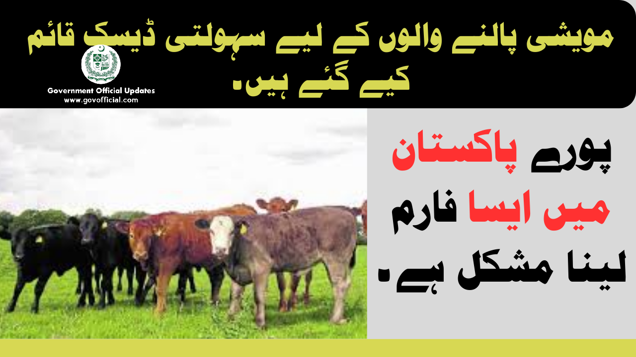 Cattle Farmers