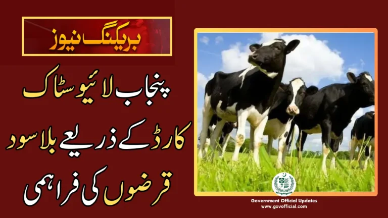 interest-free loans through the Punjab Livestock Card