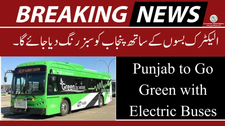 Electric Buses