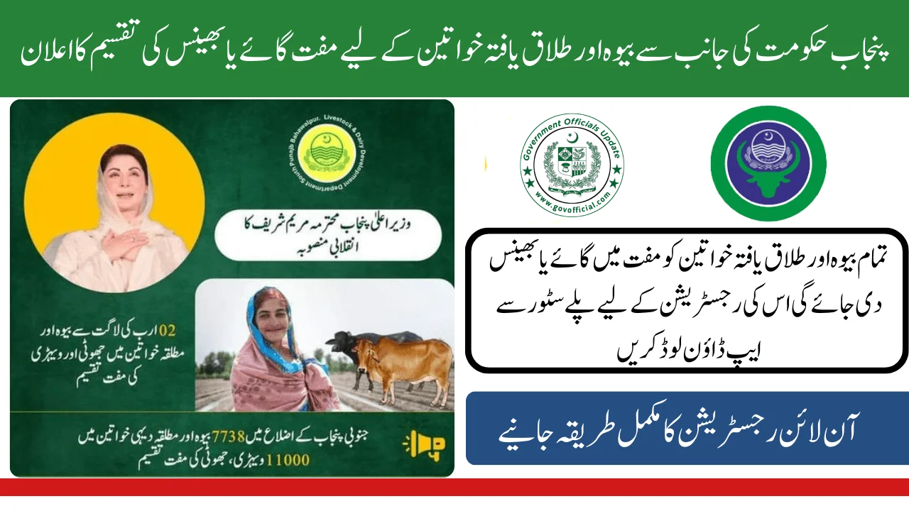 Free Cows and Buffaloes to Widow or Divorced Women