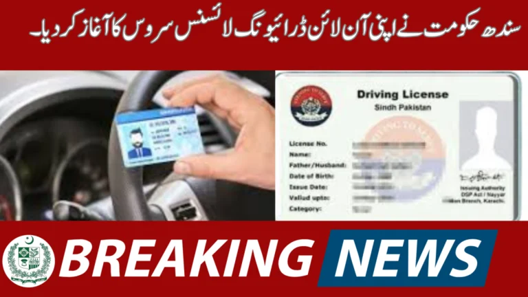 Online Driving License