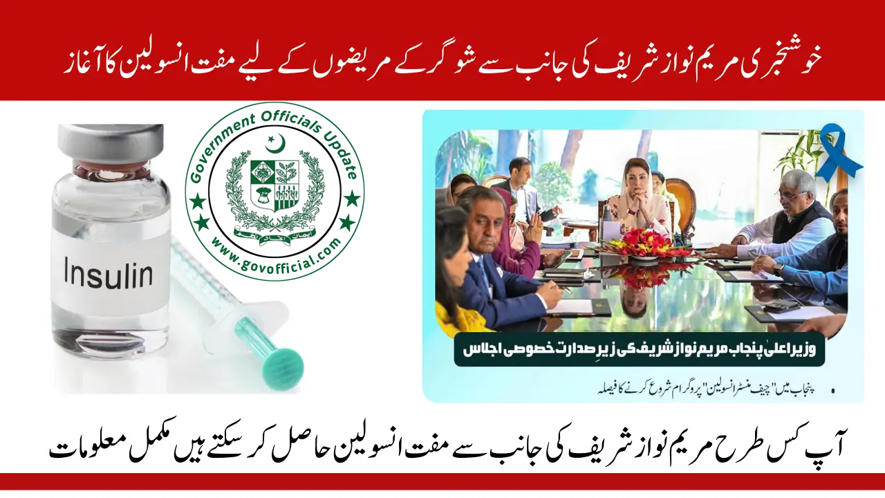 Insulin Program
